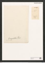 Campylodiscus biangulatus Grev. (de-Toni-Nr.: Genus 57, Species 2438) Zeichnungen Sammlung Grunow (NHMW-BOT-W0373102)